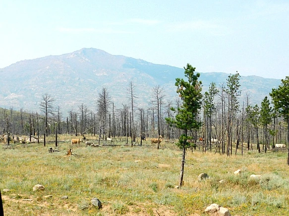 9902AC4F5B7653C01DC950