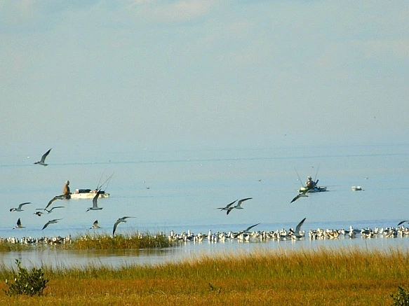 99AE523F5BF9FC3E080412