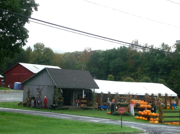 152C0D504E7FE33513C622