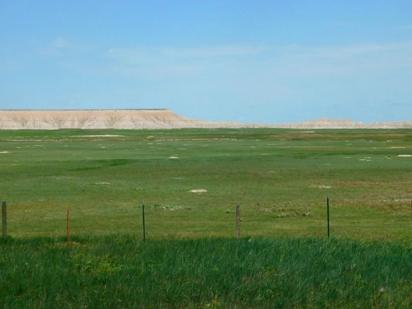 995225505B48069F260304