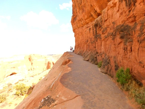 99350A3359B31A5C167949