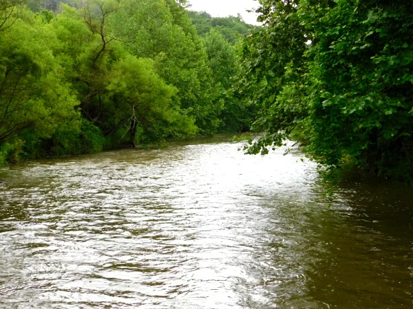 221C0A46594C91C11E1988