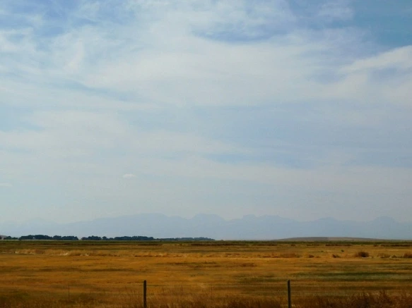 991CC533599F9D7E0A72EA