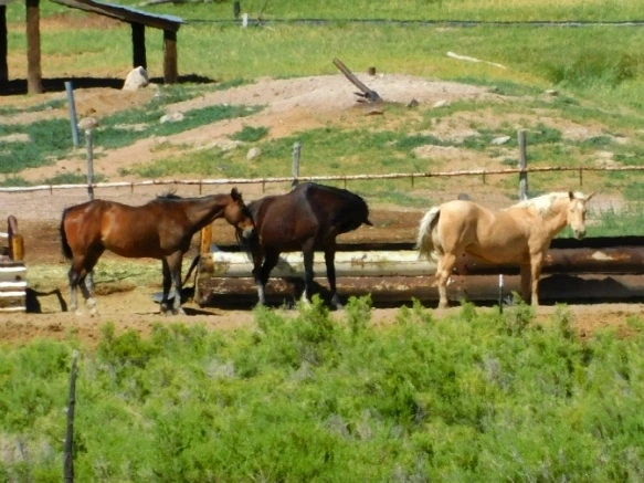 2369F53D576F44D326BF86