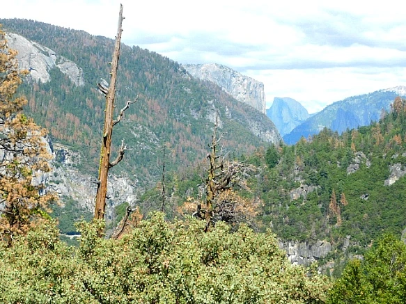 22254F3357736C43108BAA