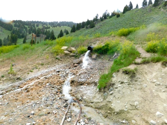 99C86D3B5B2F252D1EBB8D