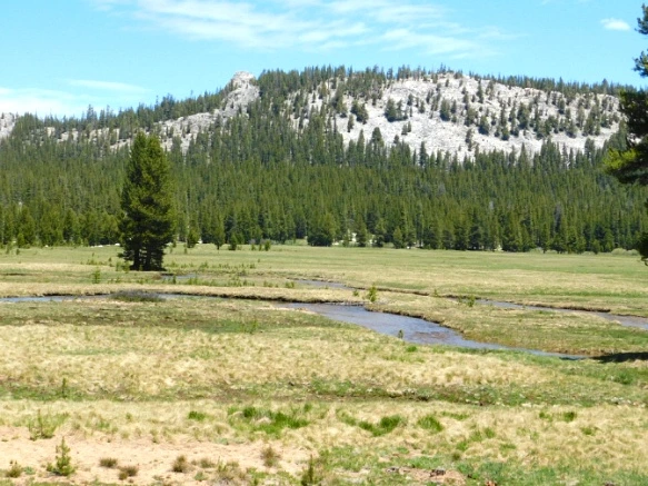 260AE642577218F111C6D0