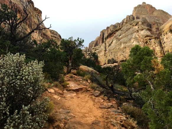 99B2773359B74FF62E308F