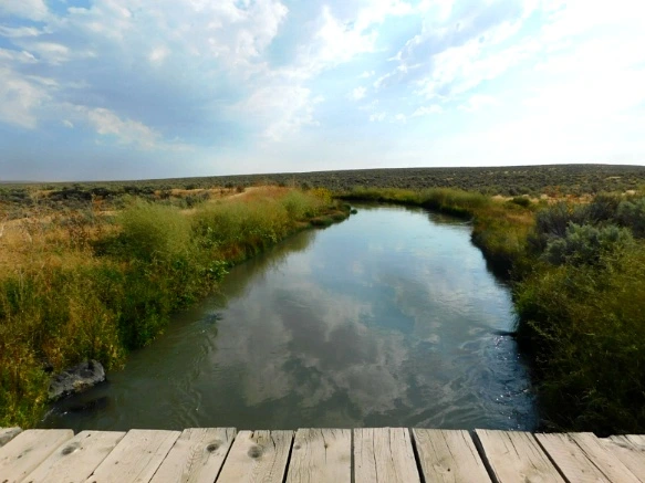 9972A73359A77C6D22B69F