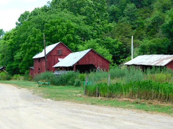 2647F53D594C773D0C298D