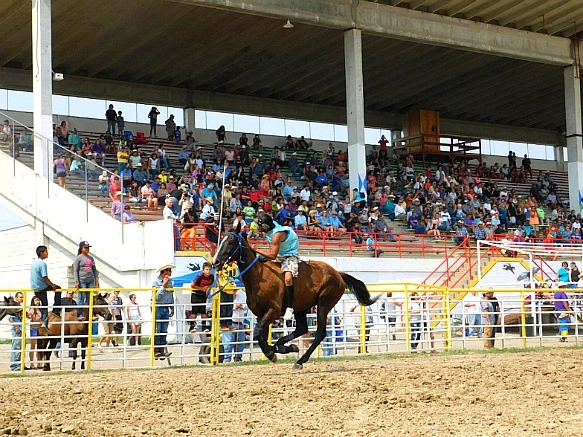 99DDF4385B7D957439AF08