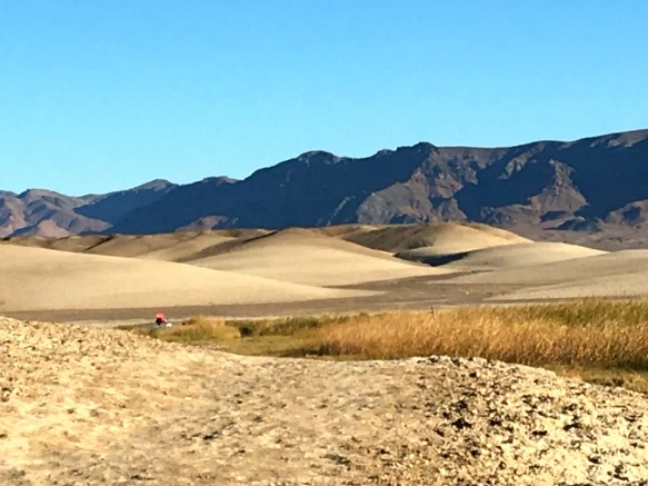 99EC1E335A21DE951DAC80