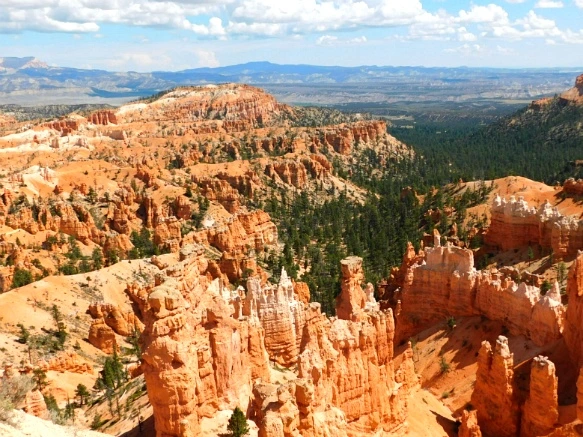 992A7D3359B8787F181012