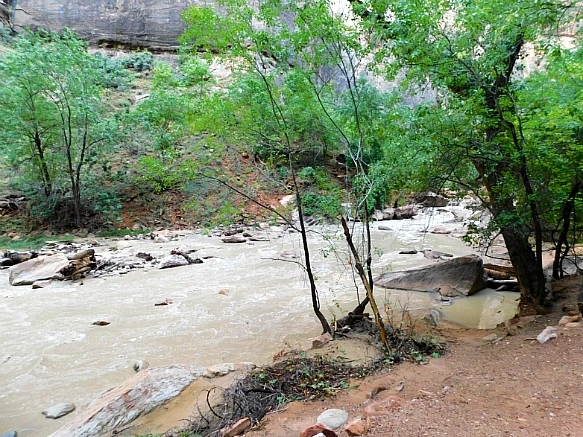 99D433495BC6852A1E7F12