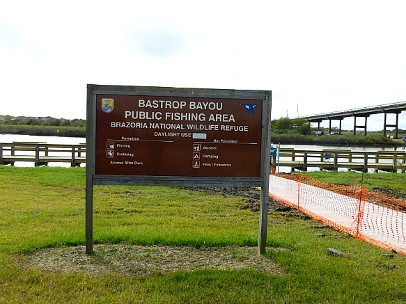 991523365BF9F8BE03D223