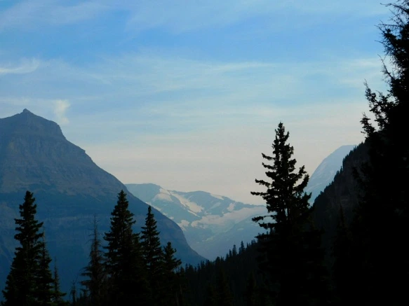 99AE523359A1039B03974A