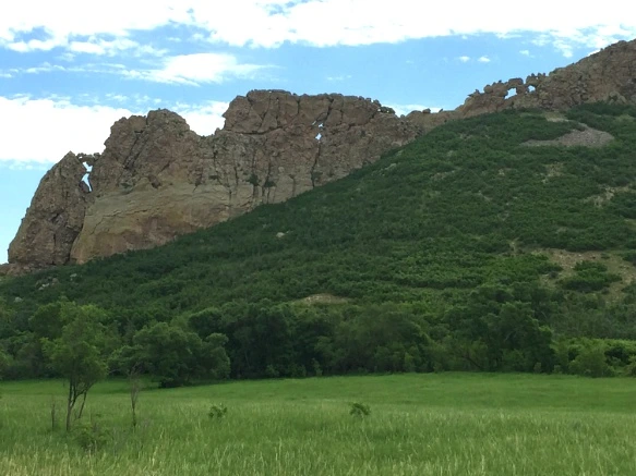 213ADE40575F833532EC40