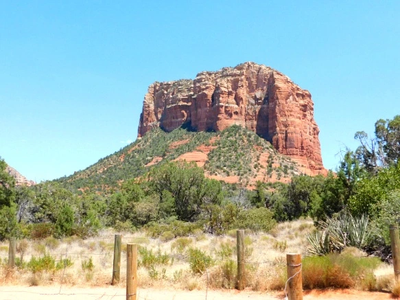 25197B46577D63BB219D64