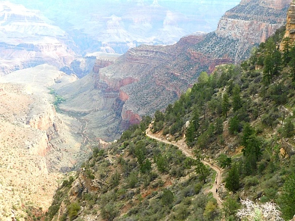 99A5A5385BC9512F38A3FE