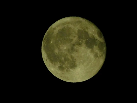 9933BD3359B1EDDB378C6C