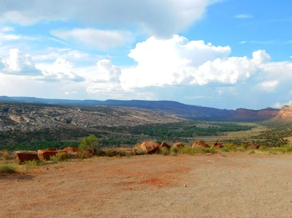 99B3B13359BDC24020CAFD