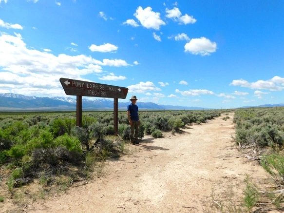 2543A34059334D9B115AA6