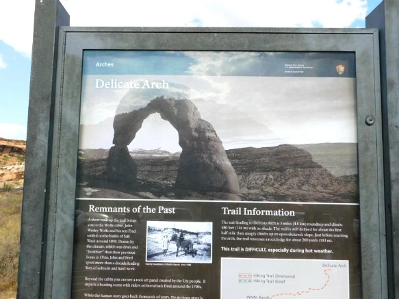 9963043359B31A8513BA4F