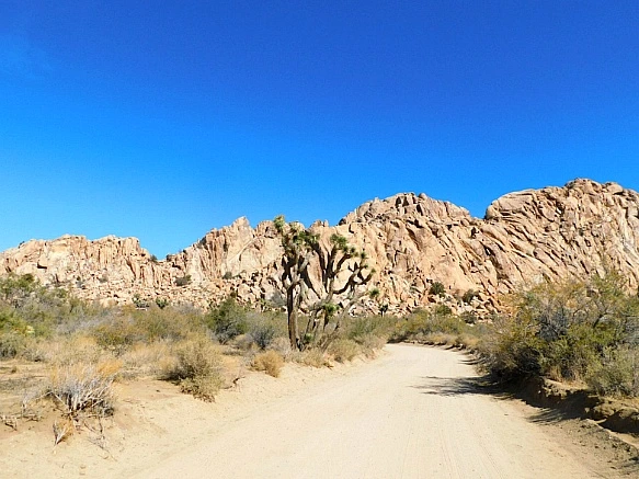 99CA294F5BE11CA312E437