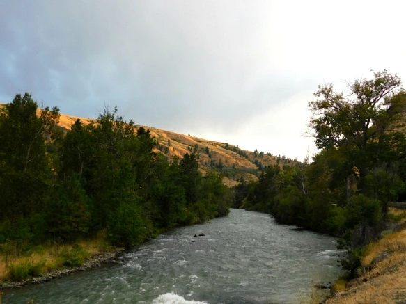 996F953359A3835241408F