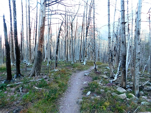 9979134A5B95B39831734E