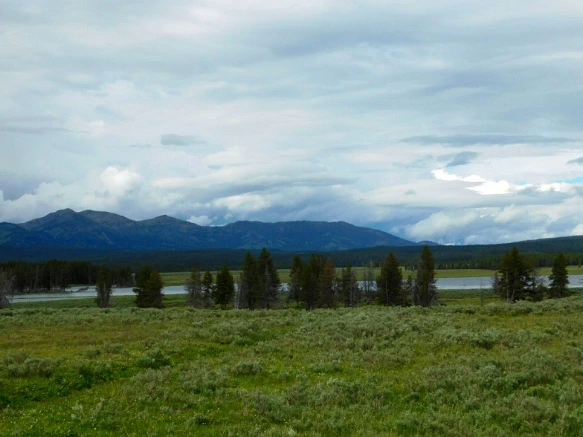 991517495B39A845379413