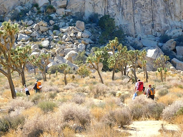 993CE0485BE11CA90304F0