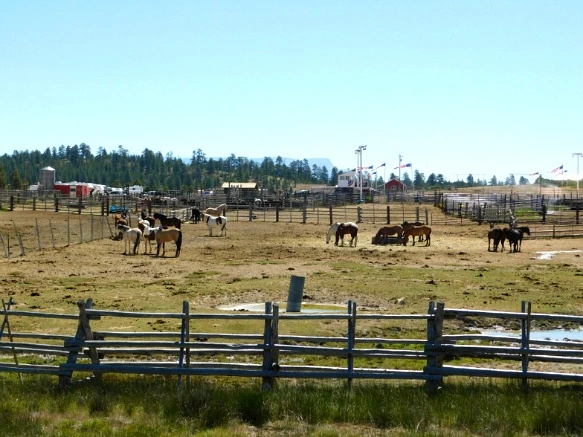 233201375769DA852020D4