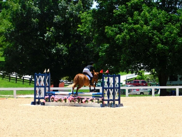 231AE933597D1939249D75