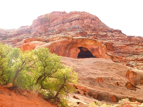 9904B64E5BBC2B66091C08