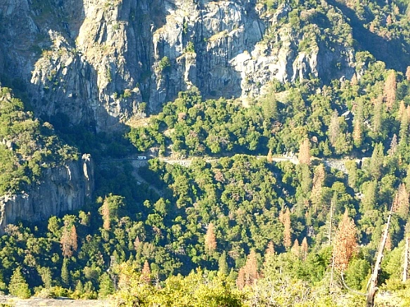 270CC33657736C832A194A