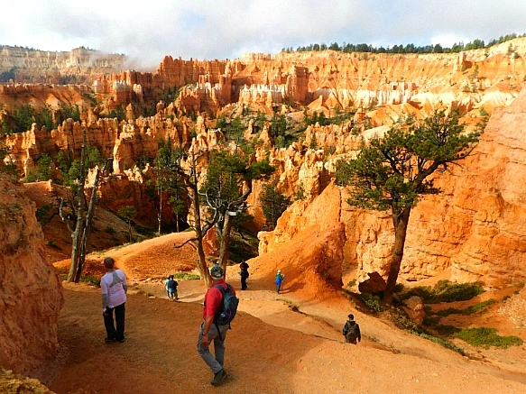 99DF7A445BC569B6256B67