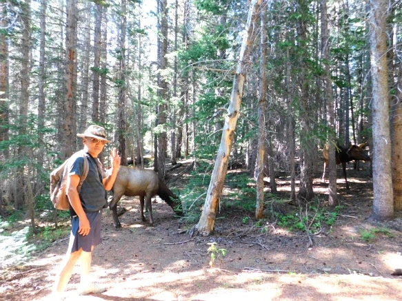 99D8D4495B7266BE270950