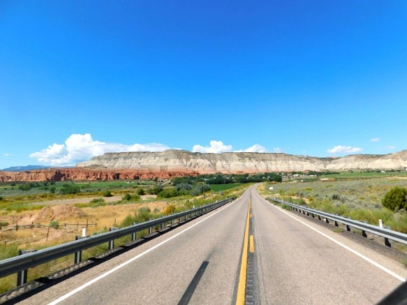 99FFC23359B74D7629A35D