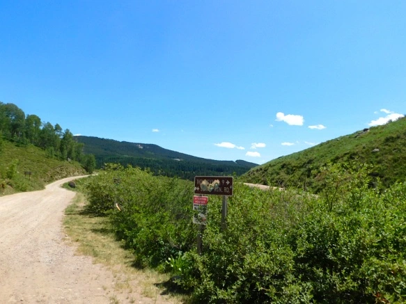 27220147595C2CE210E3DF