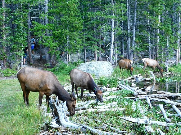 99FF614A5B7268EB158DE1