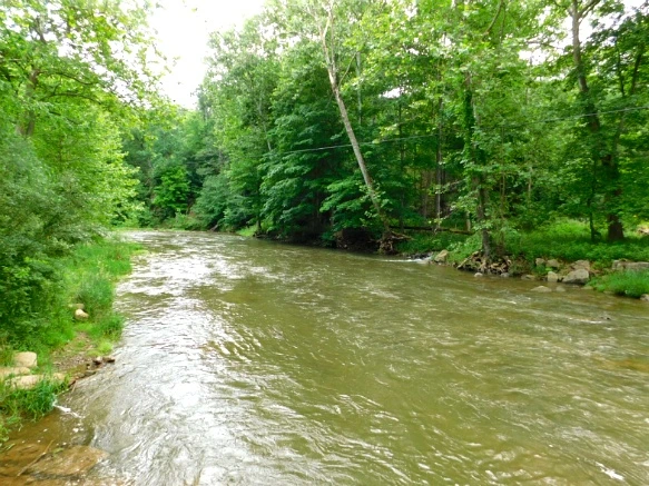 246CFD3F594C9001065836