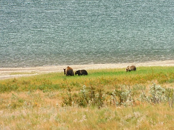 9949B54C5B8F3C02272056