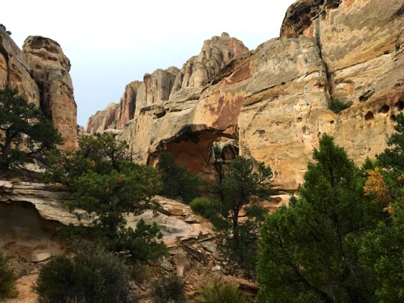 99DCD83359B74FF4277ACA