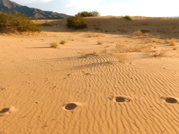 27377833577B02B4341E1F