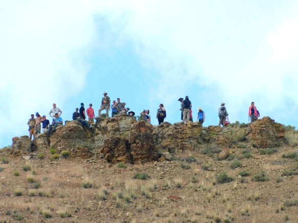 99D455365B2DE46F39E74D