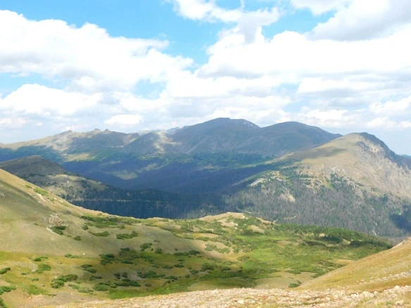 99E12F4C5B6E6A512174C7