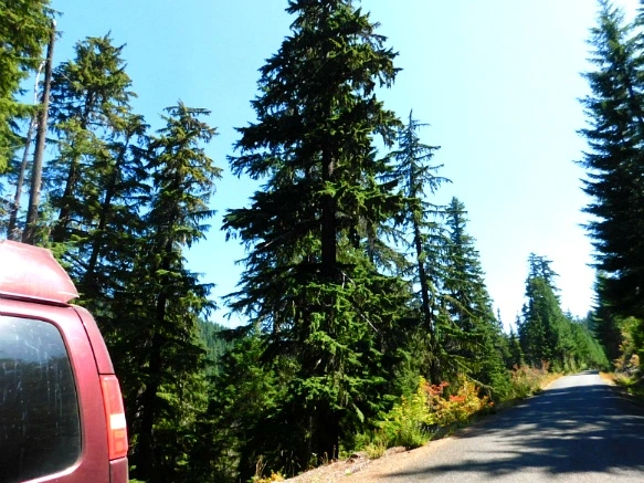 99E7713359A62C7C01D59E