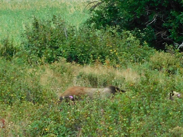 999F48425B8F345C051C7C