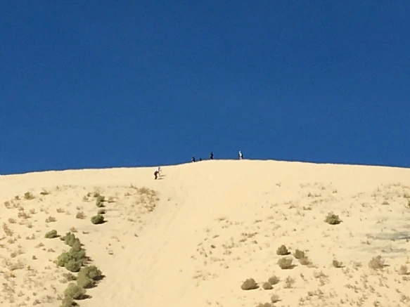 992E68335A20C1DE01C572